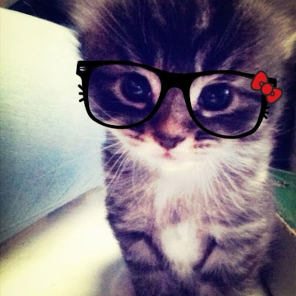 Meet your Posher, Hana - Picture 1 of 1